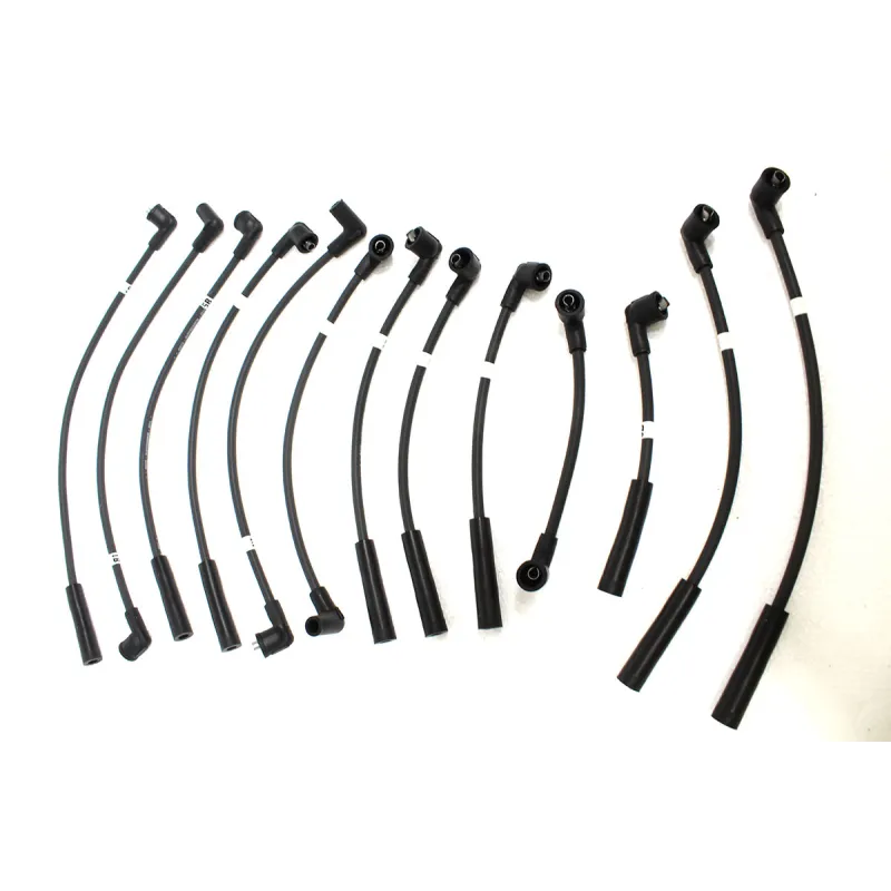 PLUG LEAD KIT