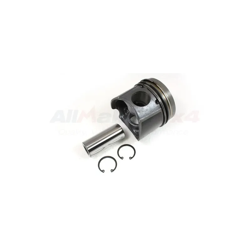 PISTON ASSEMBLY - ENG