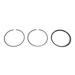 KIT - PISTON RING
