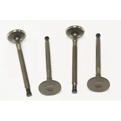 VALVE - EXHAUST