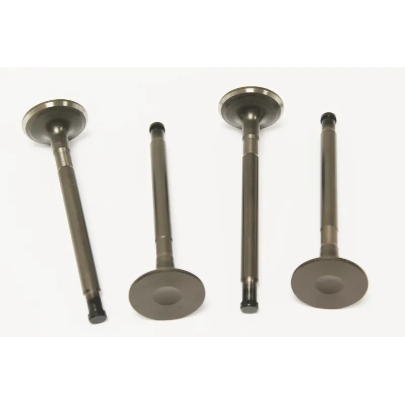 VALVE - EXHAUST