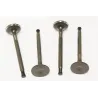 VALVE - EXHAUST