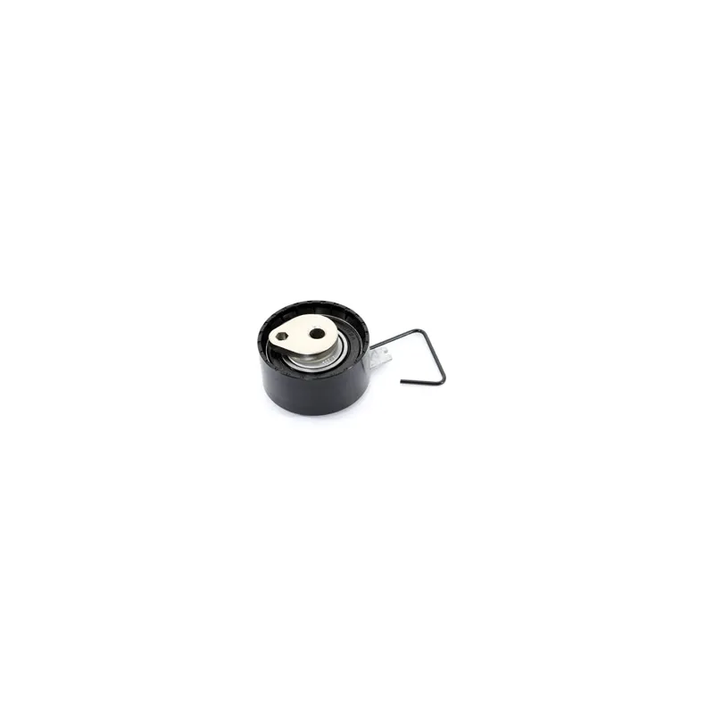 TENSIONER