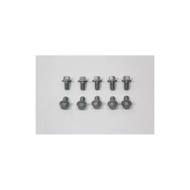 BOLT - FLANGED HEX.