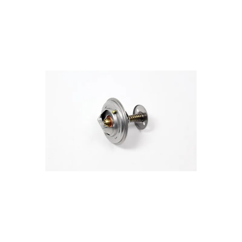 THERMOSTAT ASSY - WITH SEAL