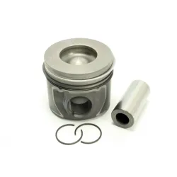PISTON AND RINGS ASSEMBLY