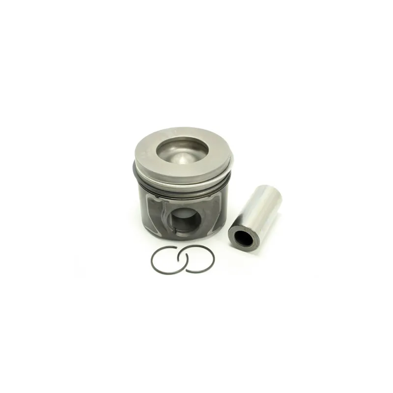 PISTON AND RINGS ASSEMBLY