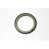 TRIGGER WHEEL - CRANKSHAFT TIMING