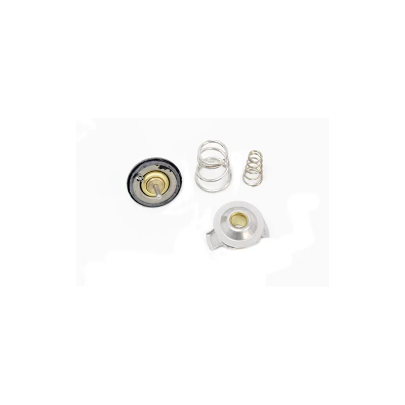 THERMOSTAT ASSY