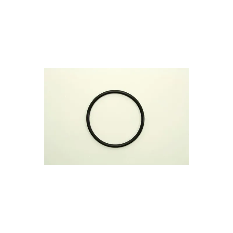 GASKET THROTTLE