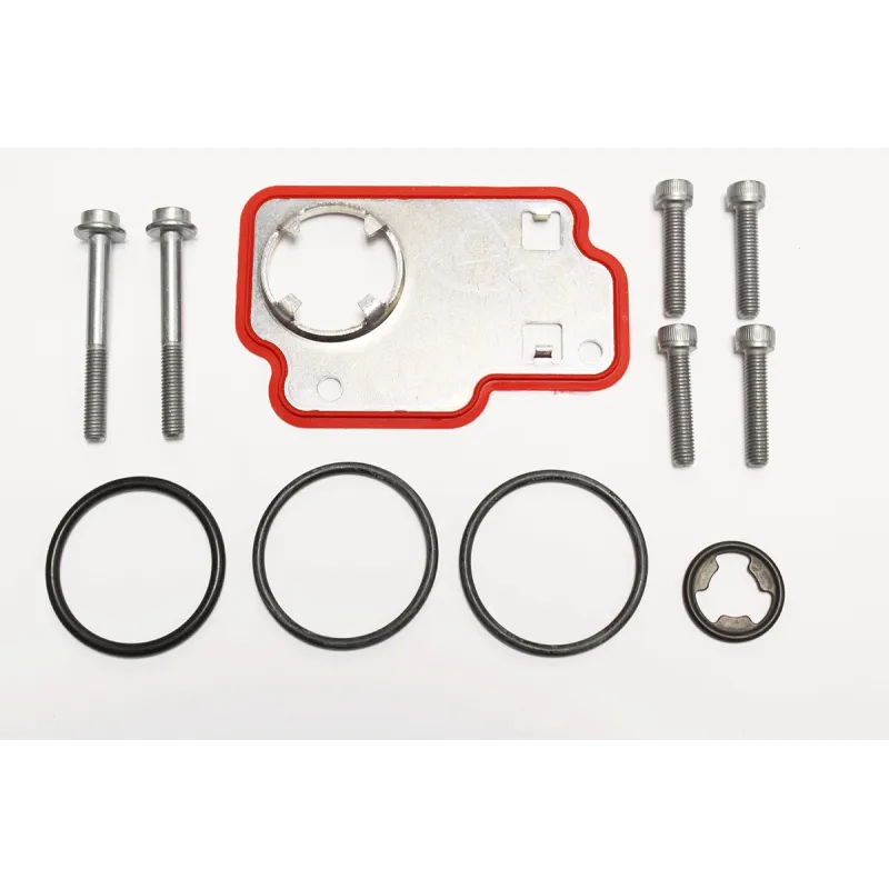 KIT - OIL SEALS