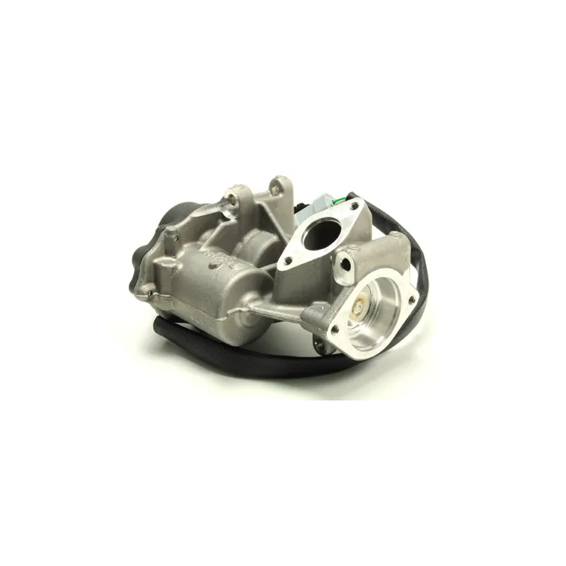 VALVE - EGR