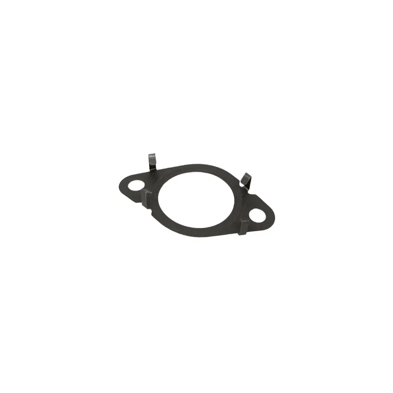 Gasket - EGR Outlet