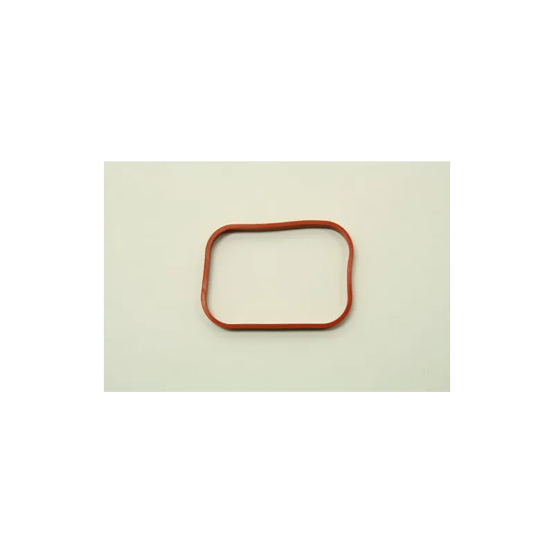 GASKET - INTAKE MANIFOLD