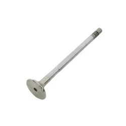 VALVE - EXHAUST