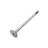 VALVE - EXHAUST