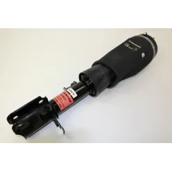DAMPER ASSY LH