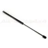 LIFT ASSEMBLY - GAS - REAR DOOR