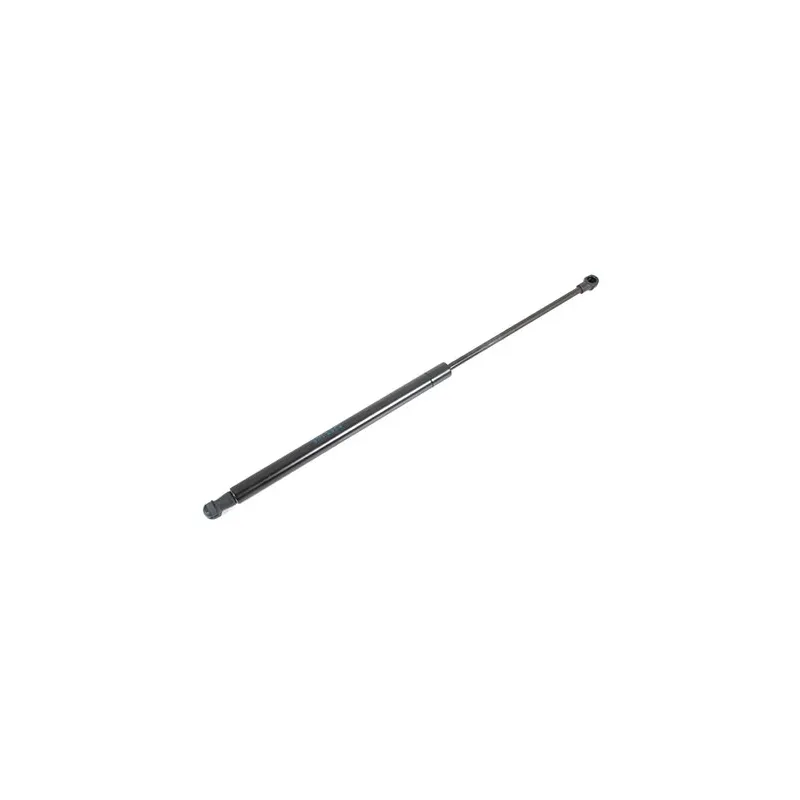 LIFT ASSEMBLY - GAS - REAR DOOR