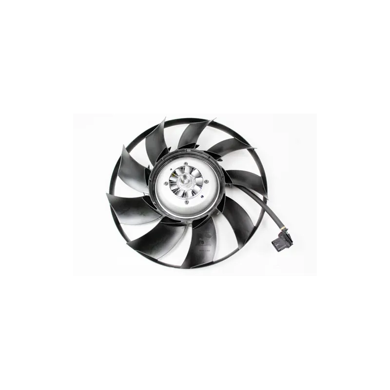 FAN AND MOTOR