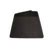 MUDFLAP ASSY