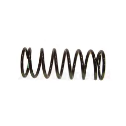 COIL SPRING