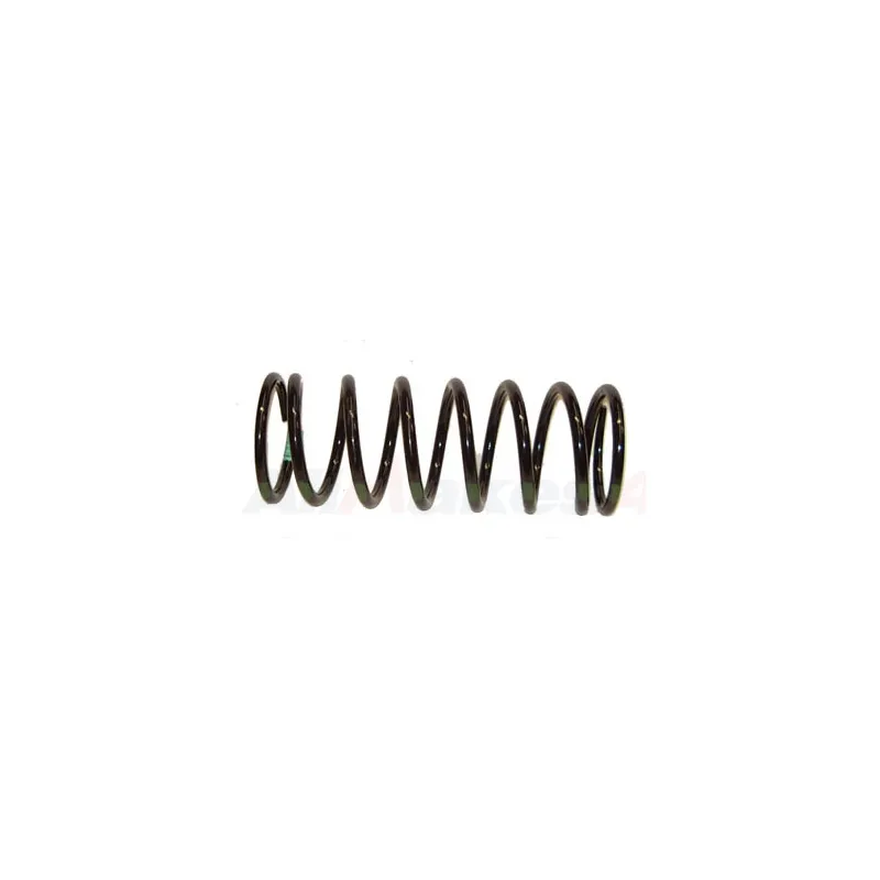 COIL SPRING
