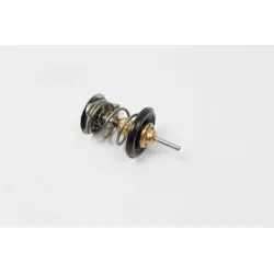 THERMOSTAT ASSEMBLY - OIL