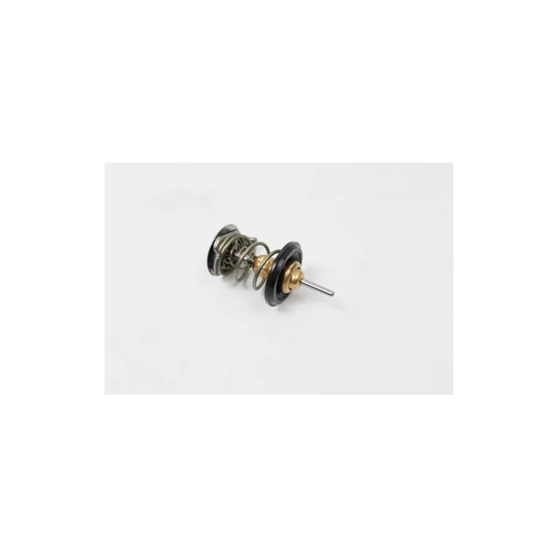 THERMOSTAT ASSEMBLY - OIL