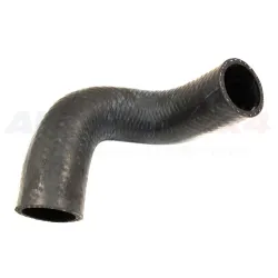 HOSE - RADIATOR BOTTOM