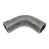 HOSE - RADIATOR BOTTOM