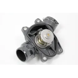 THERMOSTAT ASSY