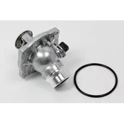 THERMOSTAT ASSY