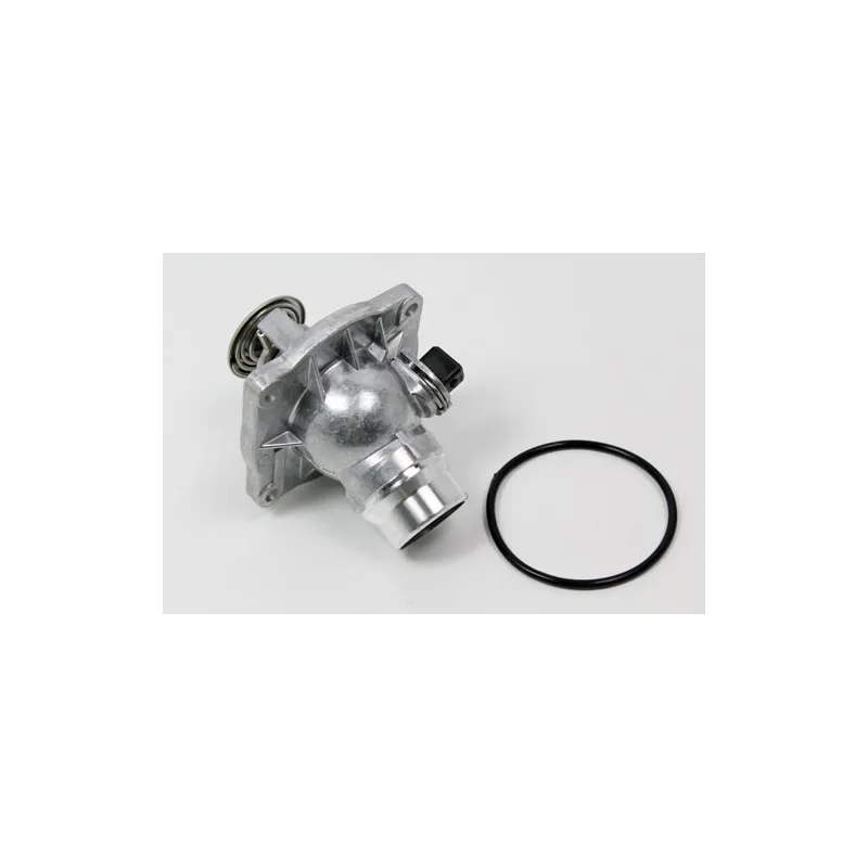 THERMOSTAT ASSY