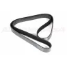 DRIVE BELT