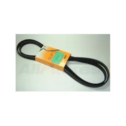 DRIVE BELT - AUXILIARY - POLYVEE