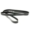 DRIVE BELT - AUXILIARY - POLYVEE