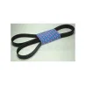 DRIVE BELT