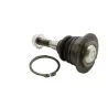 BALL JOINT - FRONT RADIUS ARM - UPPER