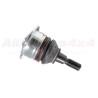 BALL JOINT - FRONT RADIUS ARM - UPPER