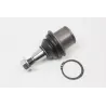 BALL JOINT - SUSPENSION ARM