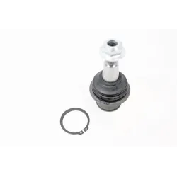 BALL JOINT - FRONT RADIUS ARM