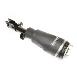 SHOCK ABSORBER AND AIR SPRING - RH