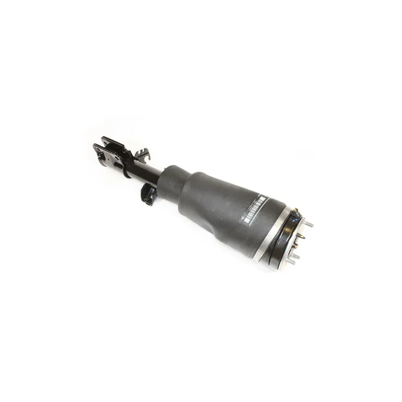 SHOCK ABSORBER AND AIR SPRING - RH