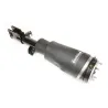 SHOCK ABSORBER AND AIR SPRING - RH