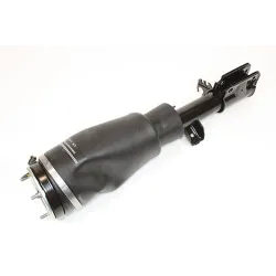 SHOCK ABSORBER AND AIR SPRING - LH FRONT