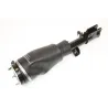 SHOCK ABSORBER AND AIR SPRING - LH FRONT