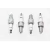 PLUG - SPARK