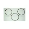 PISTON RINGS STD 200TDI
