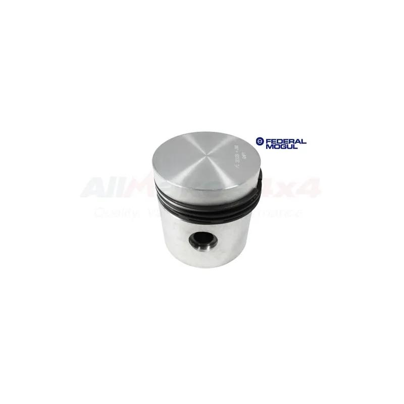 PETROL PISTON 060 O/S
